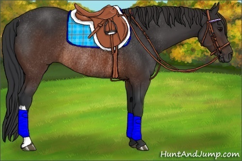 Horse Color:Brown Rabicano 