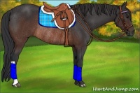 Horse Color:Brown Rabicano