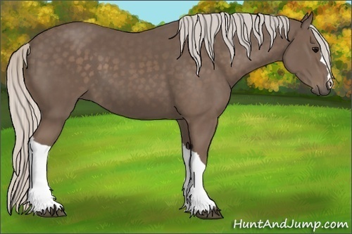 Horse Color:Silver Black 