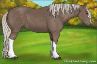Horse Color:Silver Black 