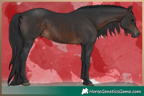 Horse Color:Brown 