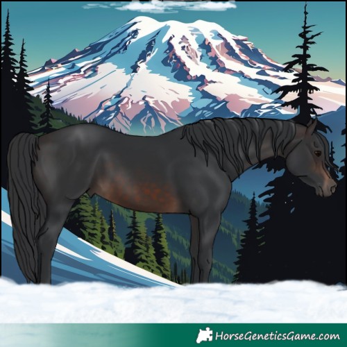 Horse Color:Brown 