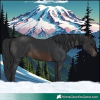 Horse Color:Brown 