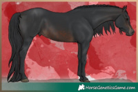 Horse Color:Brown 