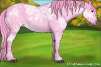 Horse Color:Watercolor Blue Ice Roan 