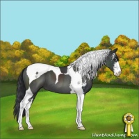 Horse Color:Black Sabino Tobiano 