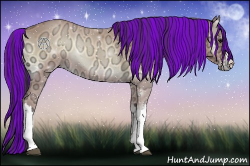 Horse Color:Painted Buckskin Ice Onyx 