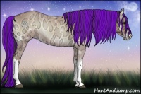 Horse Color:Painted Buckskin Ice Onyx 