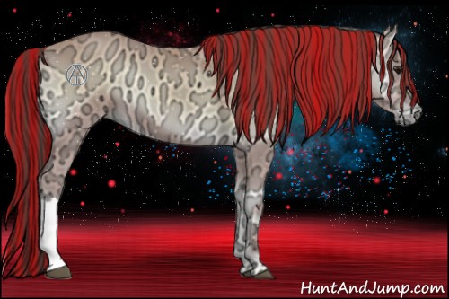 Horse Color:Painted Buckskin Ice Onyx 