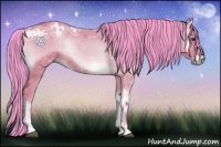 Horse Color:Watercolor Bay Ice Onyx