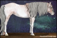 Horse Color:Watercolor Palomino Ice Pearl Onyx  and Watercolor Bay Ice Roan Pearl Onyx 