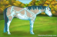 Horse Color:Thunderstruck Brown Dun Splash Frame 