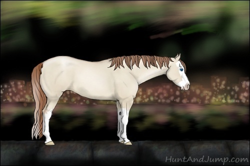 Horse Color:Smoky Grullo Pearl Sabino Splash