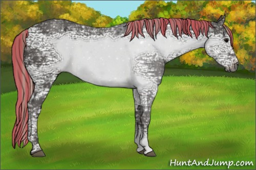 Horse Color:Gray Painted Silver Black Ice Rabicano