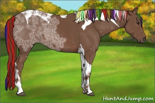 Horse Color:Painted Chestnut Ice Tobiano Rabicano 