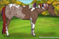 Horse Color:Painted Chestnut Ice Tobiano Rabicano 