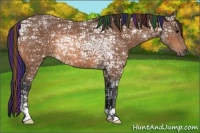 Horse Color:Painted Buckskin Ice Rabicano