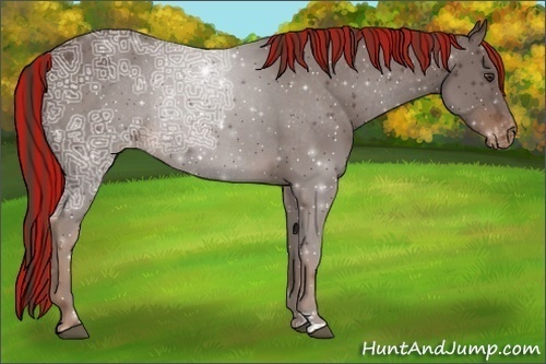 Horse Color:Painted Liver Chestnut Ice Varnish Rabicano 