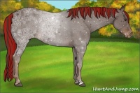 Horse Color:Painted Liver Chestnut Ice Varnish Rabicano