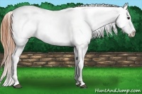 Horse Color:White Spotted Bay Roan Dun Frame Varnish 