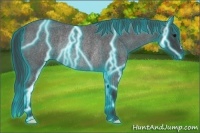 Horse Color:Thunderstruck Blue Roan Rabicano