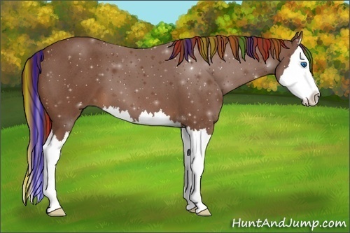 Horse Color:Painted Red Roan Splash