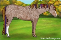 Horse Color:Painted Chestnut Ice