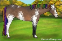 Horse Color:Painted White Spotted Buckskin 