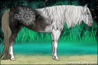 Horse Color:Liver Chestnut Ice 