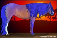 Horse Color:Watercolor Brown Rabicano 