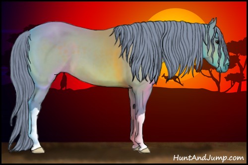 Horse Color:Watercolor Brown