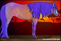 Horse Color:Watercolor Brown 