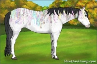 Horse Color:White Spotted Brown Ice Dun