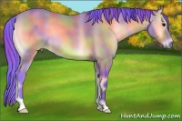 Horse Color:Nacre Watercolor Bay Onyx 