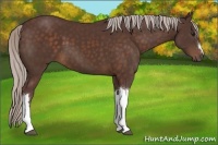Horse Color:Chocolate Silver Brown