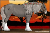 Horse Color:Silver Blue Roan Splash