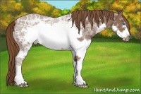 Horse Color:Liver Chestnut Ice Splash Frame 