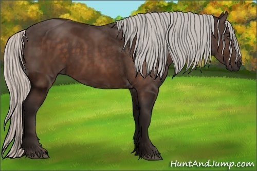 Horse Color:Silver Bay