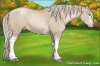 Horse Color:White Spotted Chocolate Palomino Pearl