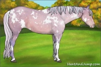 Horse Color:Watercolor White Spotted Silver Brown Pearl 