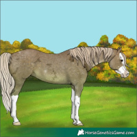 Horse Color:Silver Black Ice Splash 