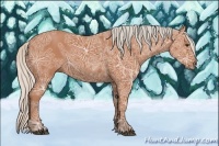 Horse Color:Silver Bay Ice 