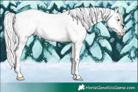 Horse Color:Silver Brown Chinchilla Sabino Splash Blanket Rabicano 