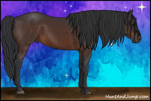 Horse Color:Brown 