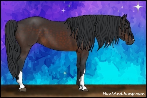 Horse Color:Brown 