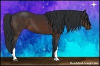 Horse Color:Brown 