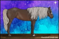 Horse Color:Silver Brown 