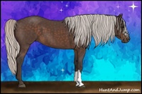 Horse Color:Silver Brown Roan