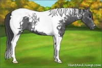 Horse Color:Black Tobiano 