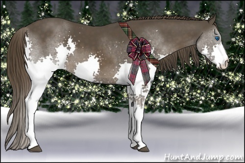 Horse Color:Liver Chestnut Splash 